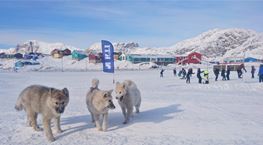 KTI til Sisimiut Wintergames med ialt 300 elever i bidende arktisk kulde